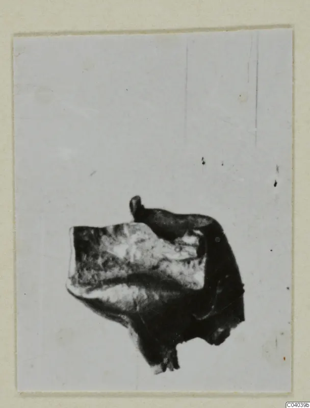 Corroded bronze tool from Idalion, shown alone against a pale background
