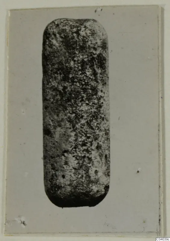Upright cylindrical object with rounded ends and a speckled grey surface, photographed on a card mount