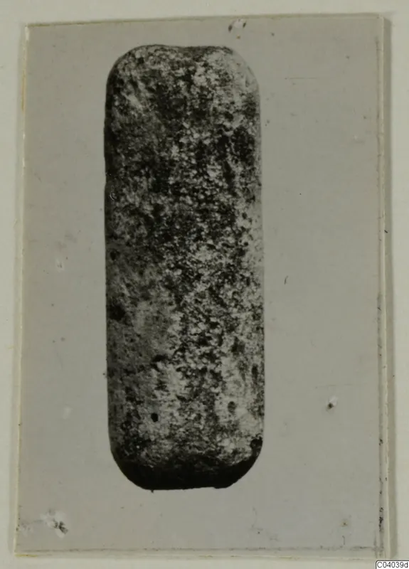 Elongated object with rounded corners and a pitted, speckled surface, photographed on a grey card