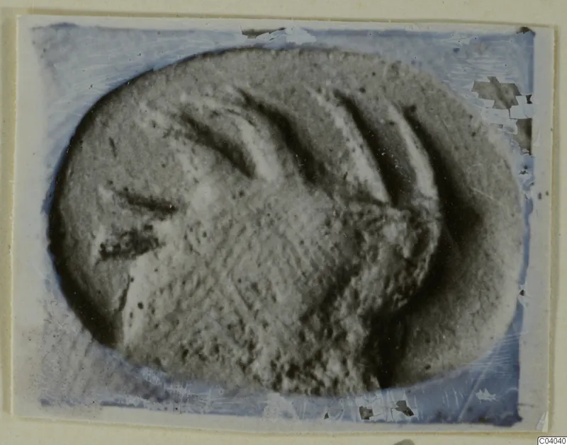 Close view of an oval seal or gem with incised lines, shown on a mounted photograph