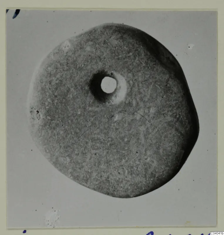 Flat round disc with a central hole, photographed on a grey background