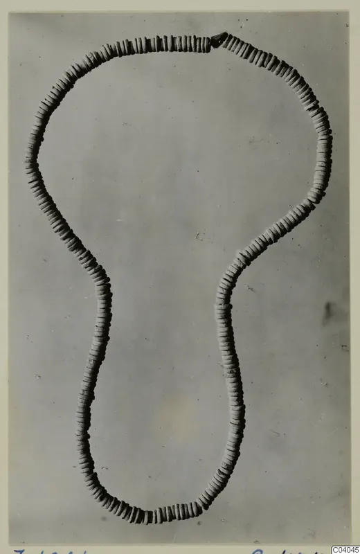 Necklace of small pale disc beads strung in a loop, laid out on a grey background