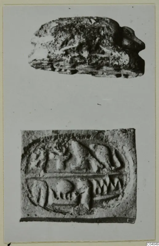 Two seal objects: a beetle-shaped seal above and an engraved seal face below, shown on a mounted photo card.