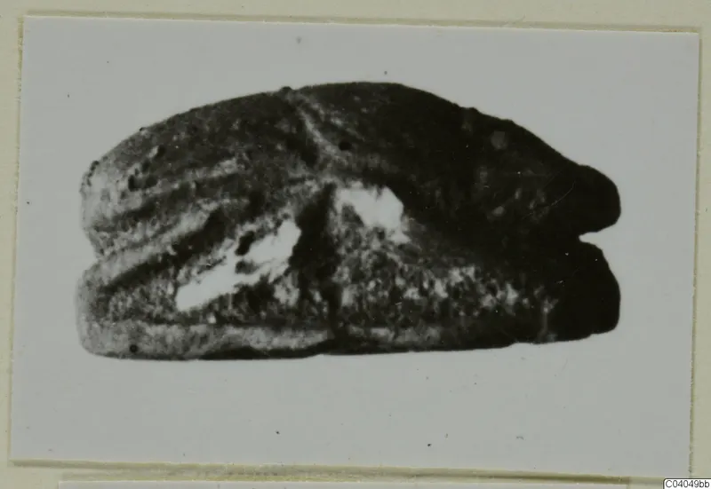 Scarab-shaped stone object photographed as a find