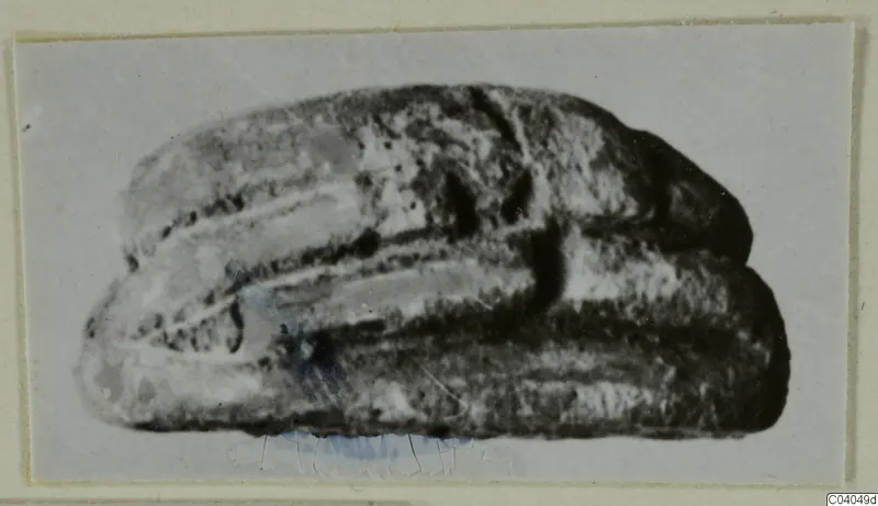Soft-focus photograph of an elongated stone object with a rounded, ridged back, on a light card mount
