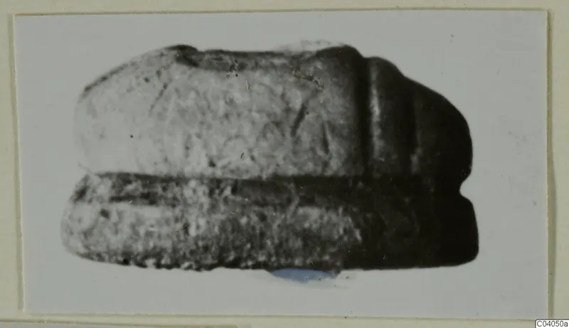 Close-up photograph of a stone object, possibly a scarab, mounted on a card