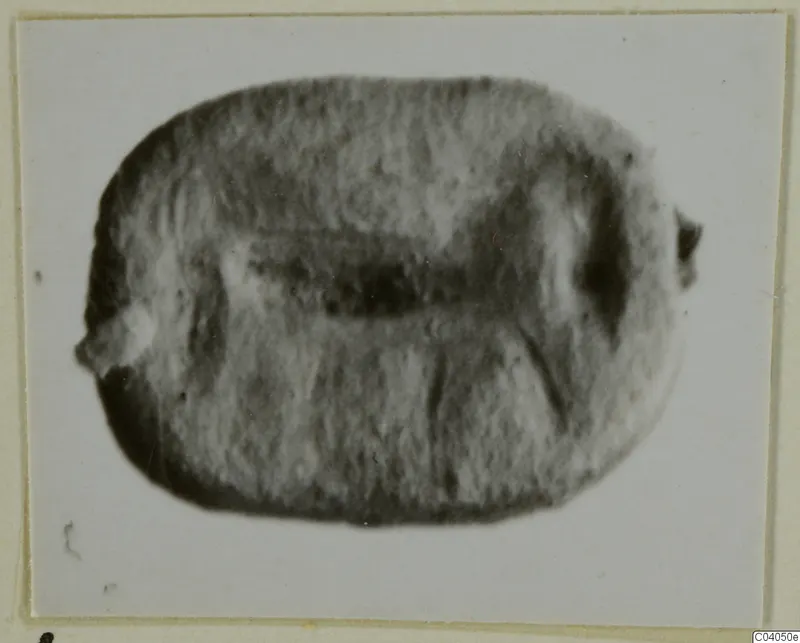 Enlarged photograph of a stone seal (glyptic) from Idalion, rounded shape with a dark band across the middle