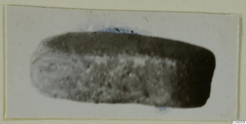 Elongated stone seal or gem with rounded ends, photographed on a pale card mount