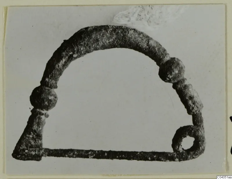Corroded metal loop with two knobs on the arch and a ring with a hole at one end, photographed on a pale background.
