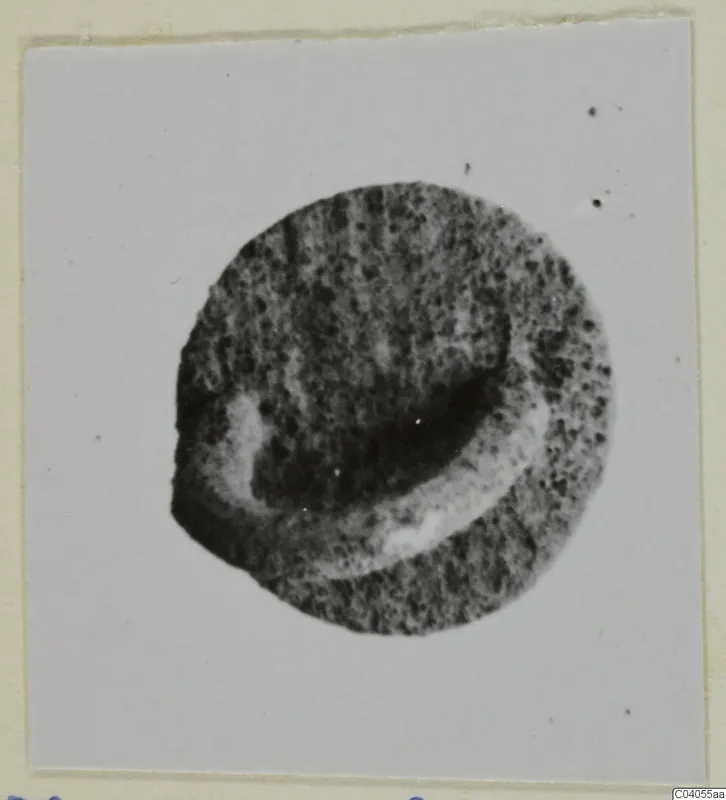 Round metal object with a raised curved rim and pitted dark surface, shown as a photograph on a card mount