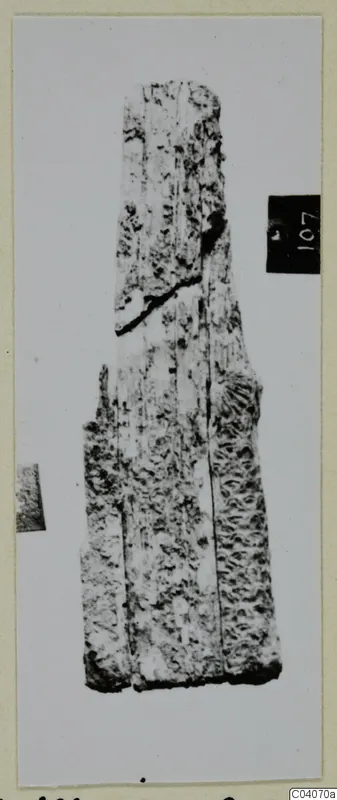 Bone find from Enkomi: a long, narrow fragment with a pitted surface, photographed against a plain background.
