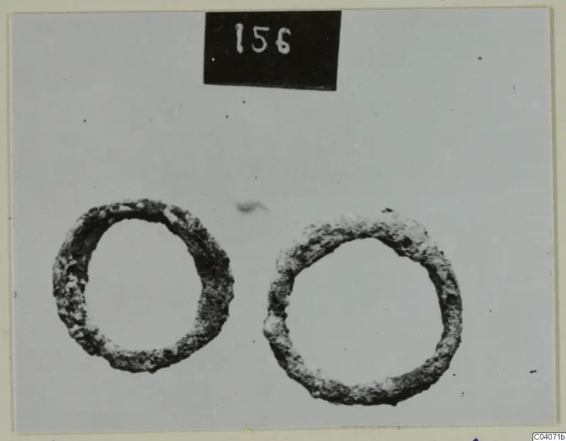 Two corroded metal rings side by side on a pale background, with a number label above them.