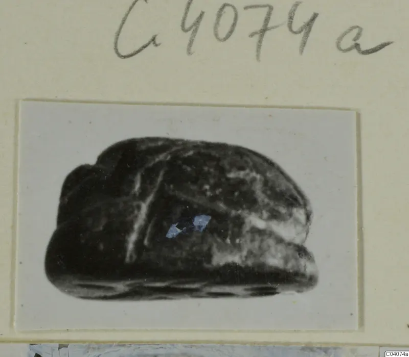 Dark stone scarab photographed on a card mount, with a handwritten number above it.