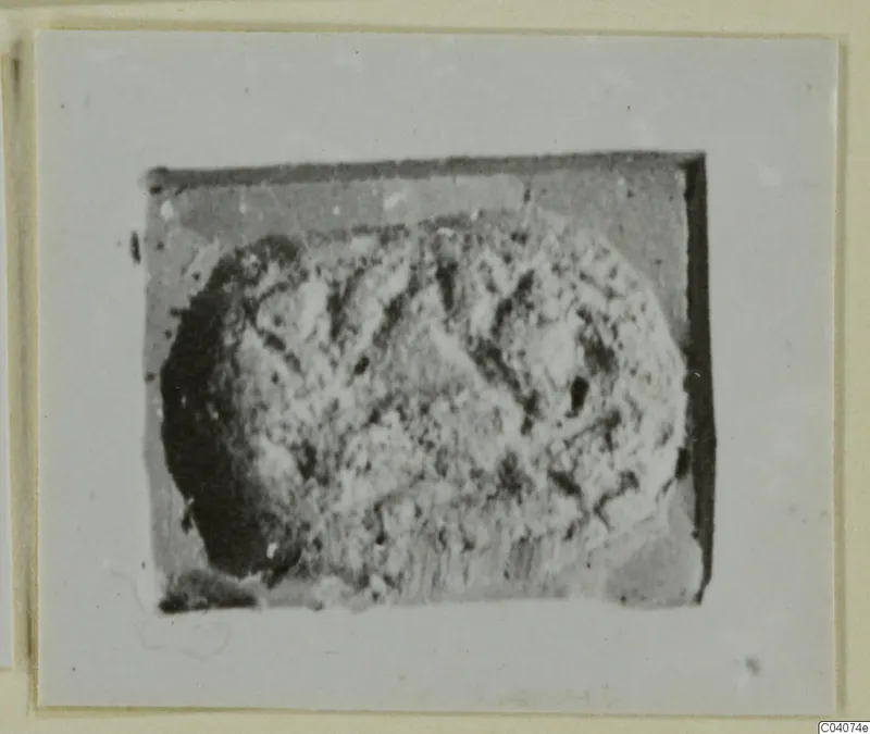 Small oval seal or gem, pale and granular with dark edges and faint incised lines, shown on a mounted print.