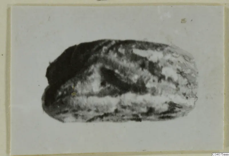 Oval seal or gem from Ajia Irini, photographed as a small print on a card mount.