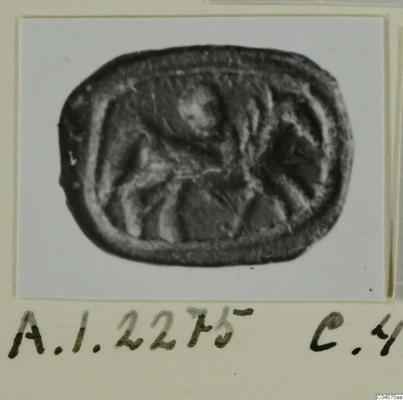 Engraved oval seal from Ayia Irini, dark stone, photographed on a white card mount