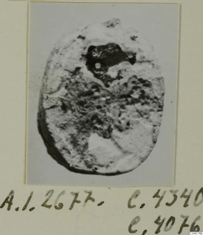 Oval stone seal or gem with a worn, pitted surface, photographed and mounted on a cream card