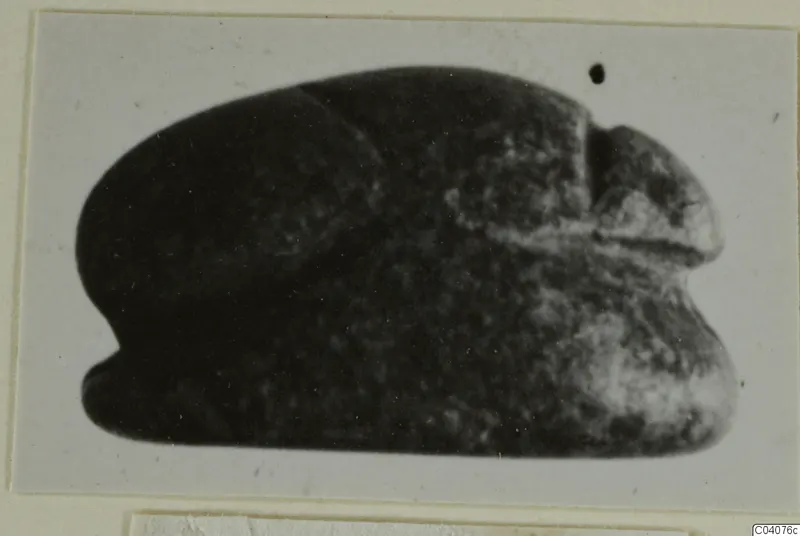 Dark stone scarab with a domed oval body, photographed on a card mount