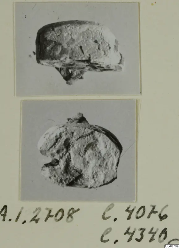 Two photographs of a small, worn, broken stone object from Ayia Irini, shown from two sides.