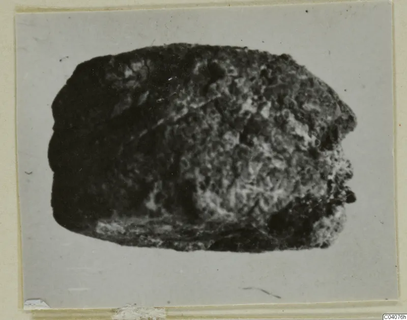 Dark, rough stone object, possibly a seal, shown on a grey card mount
