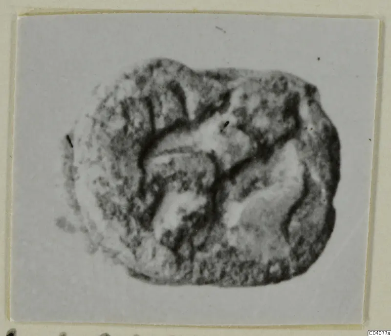 Glyptic find: a small rounded object with a pitted surface and a curved design of grooves, shown close up on a card mount.