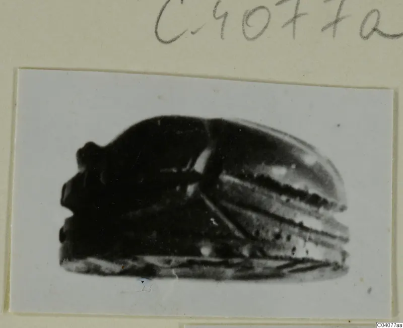 Dark scarab-shaped seal or gem seen from the side, mounted on a cream card
