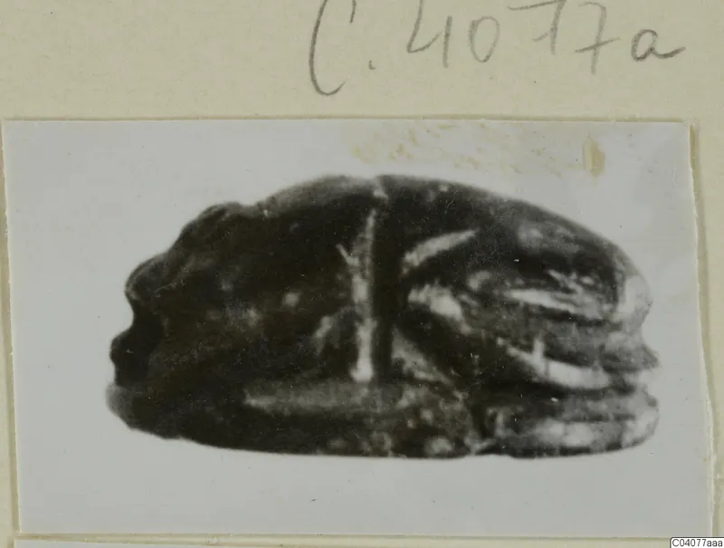 Scarab-shaped seal from Ayia Irini, photographed on a mount card