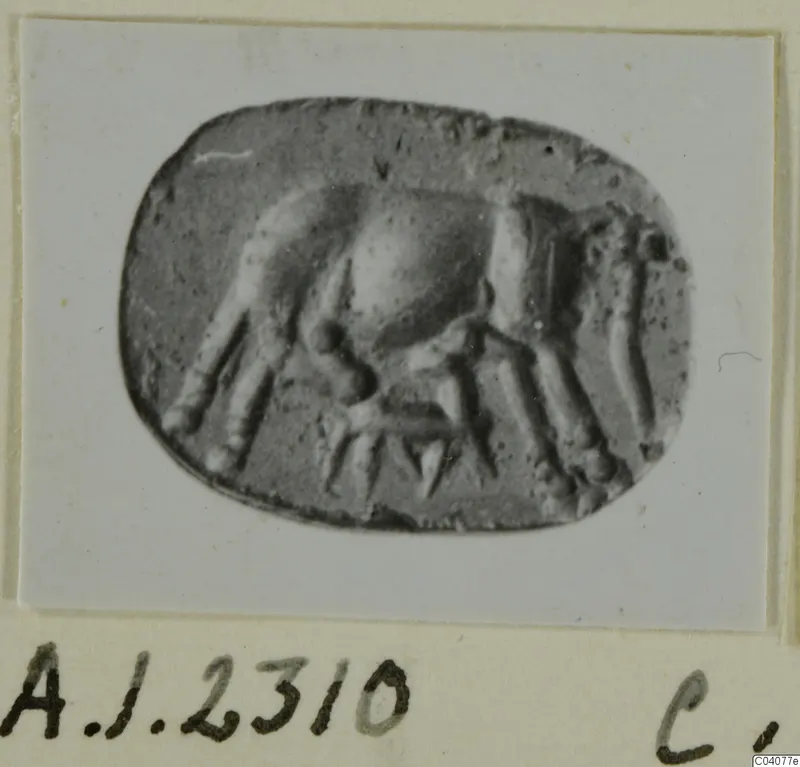 Oval seal or gem with a raised relief design of a rounded central body and several limbs spreading outward.