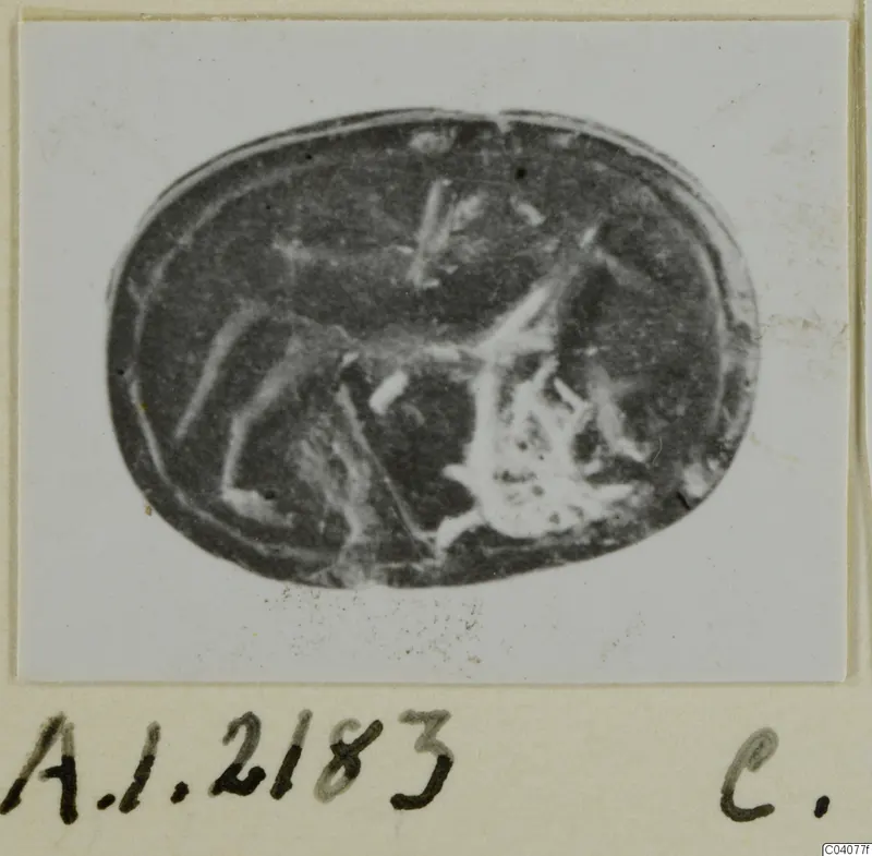 Oval seal or gem with an engraved design, shown on a pale card with a handwritten number label below.