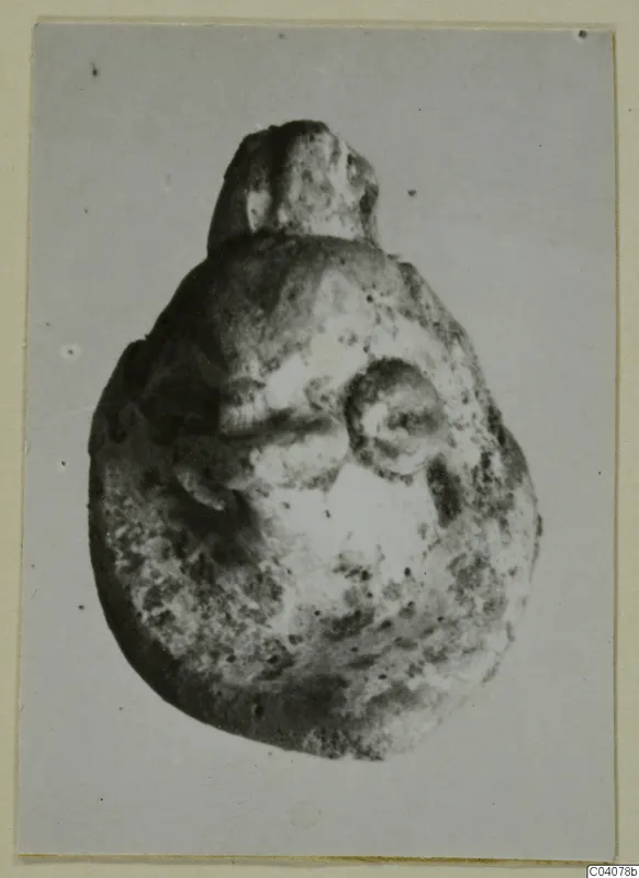 Pale, rough bulbous object with a knob-like top and a round boss on one side, photographed on grey card