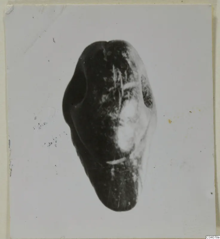 Dark stone object with a rounded, tapering outline, photographed alone against a pale background
