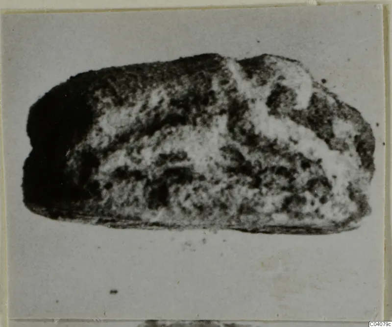 Glyptic find from Ayia Irini: a small rounded stone object with a mottled surface, shown against a pale background