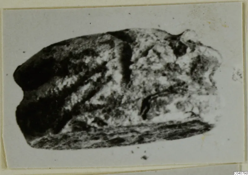 Blurred photograph of a small stone scarab from Ayia Irini, mounted on a card