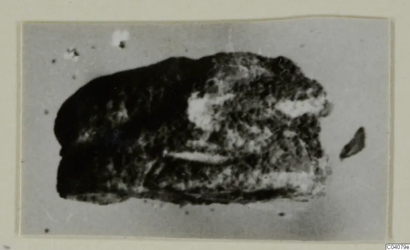 Blurred photograph of a dark, rough stone object, recorded as a scarab, from Ayia Irini