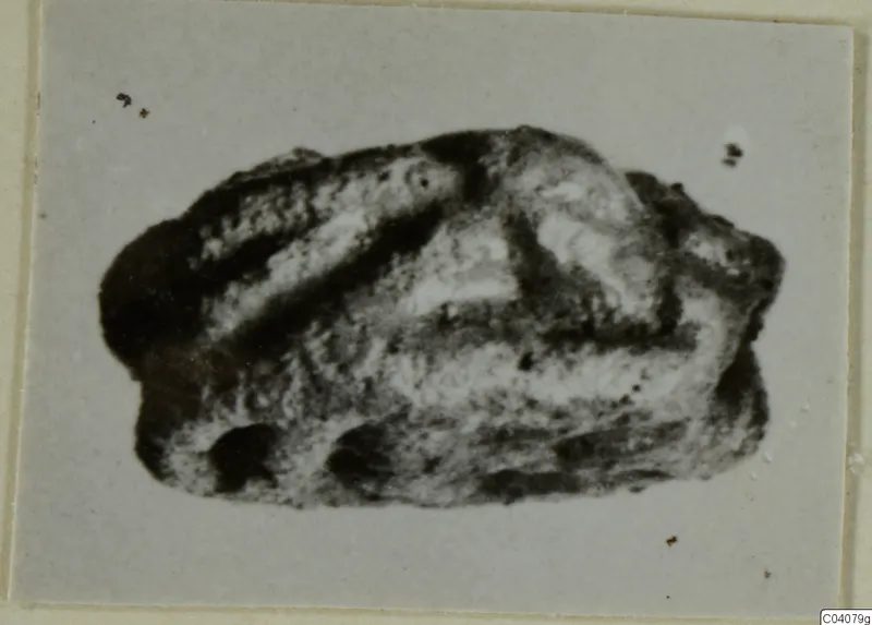 Glyptic find from Ayia Irini, a small dark stone object with a ridged upper surface