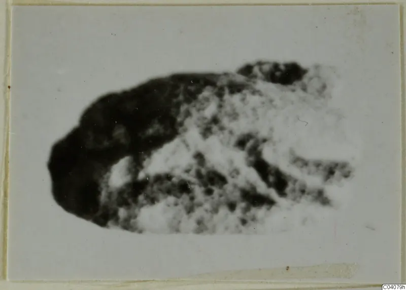 Blurred photograph of a small stone object, possibly a scarab, from Ayia Irini