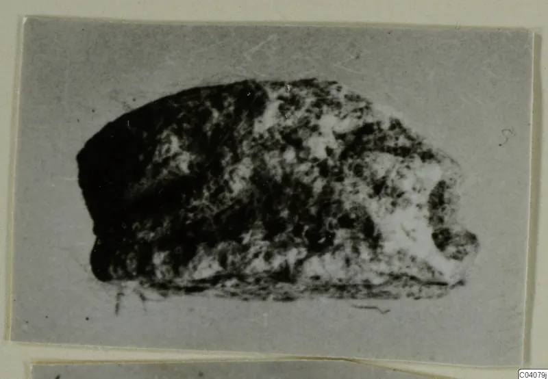Small mottled stone object, blurred, shown on a grey mount; possibly a seal or gem from Ayia Irini