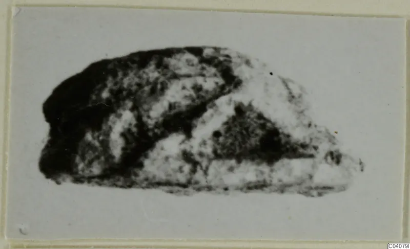 Small mottled stone object from Ayia Irini, catalogued as a glyptic find
