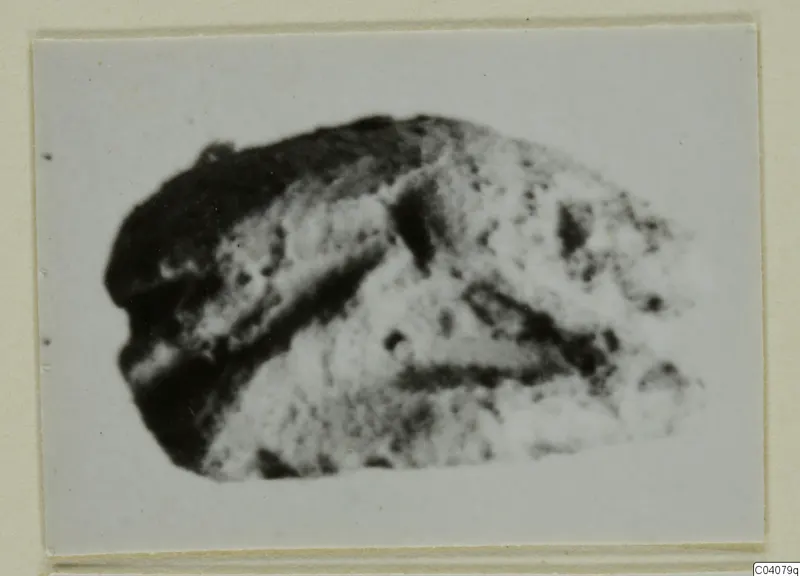 Blurred photograph of a small stone object with dark and light mottled surfaces, on a card mount
