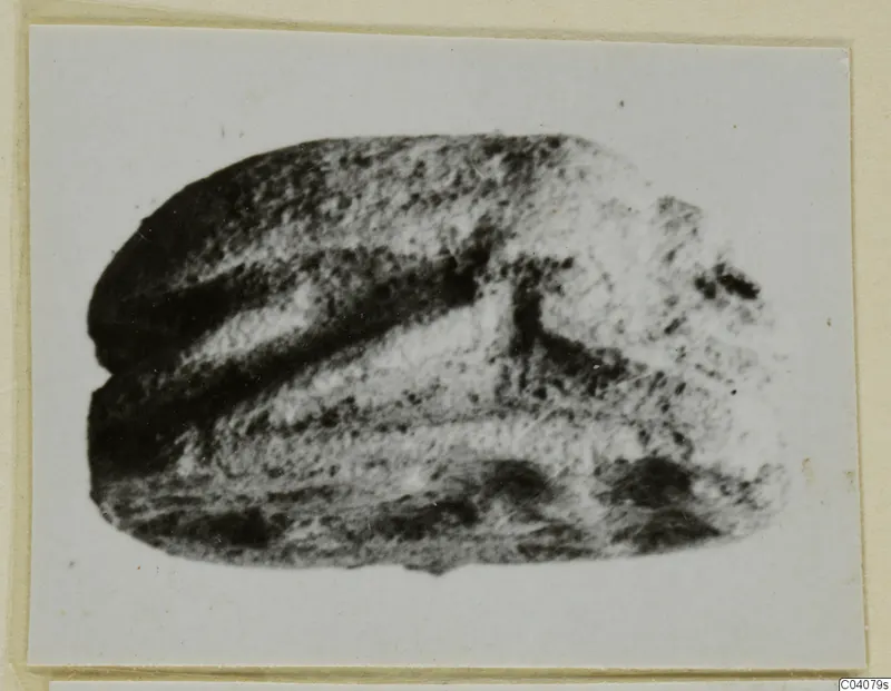 Glyptic (A.I.2057)