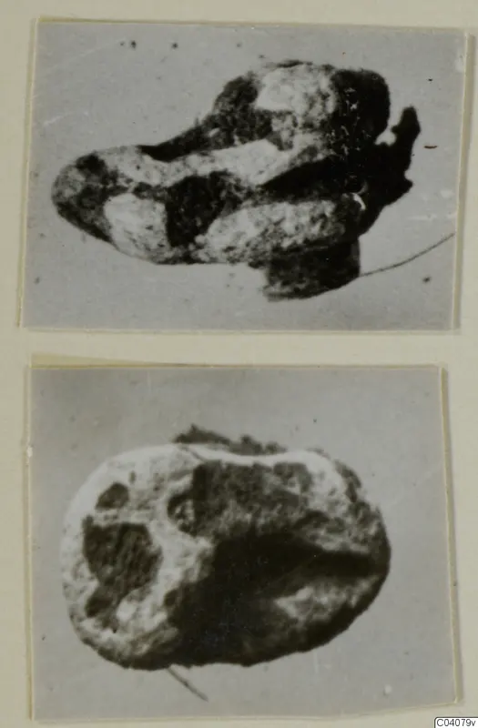 Two grey-toned views of a small glyptic object of stone, mounted on a page