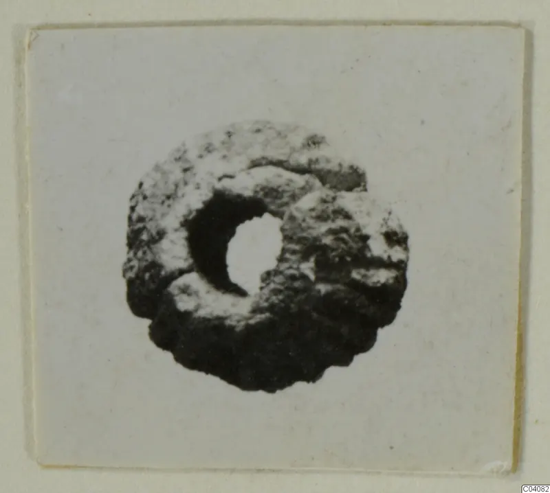 Ring-shaped bead with a central hole, shown close up on a pale card