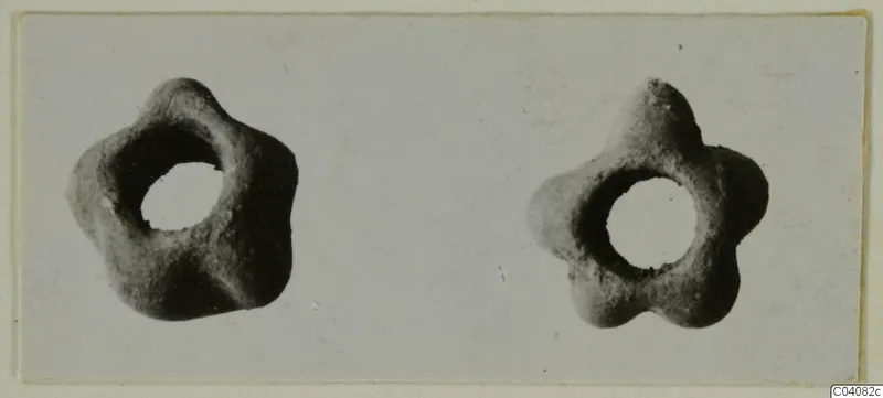 Two small objects with five rounded lobes and central holes, placed side by side on a pale card.