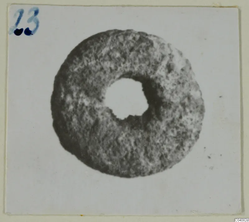 Ring-shaped mottled grey object with a central hole, seen face-on on a pale card
