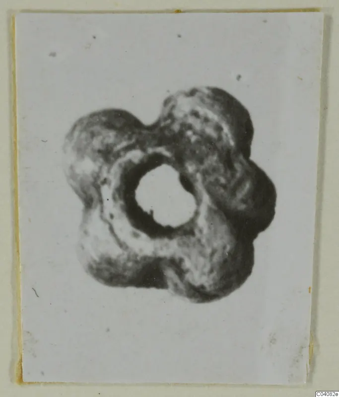 Lobed ring-shaped object with a large central hole, mounted on a pale card