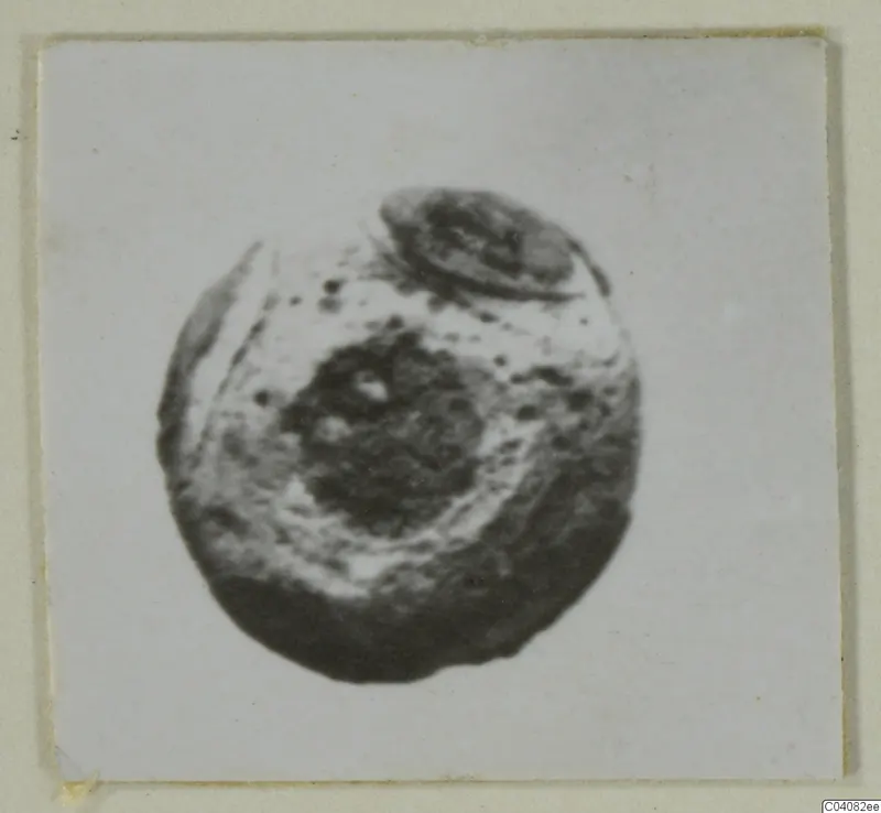 Round object with a dark centre, a pale ring and a small lobe at the top, in a small mounted photograph