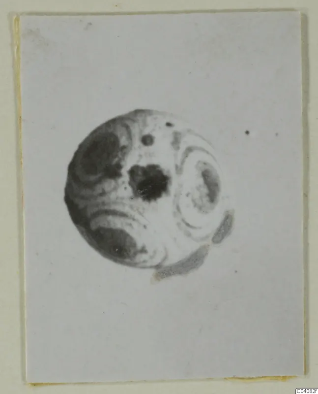 Round bead with dark blotches and curved bands of tone, shown on a mounted photograph card