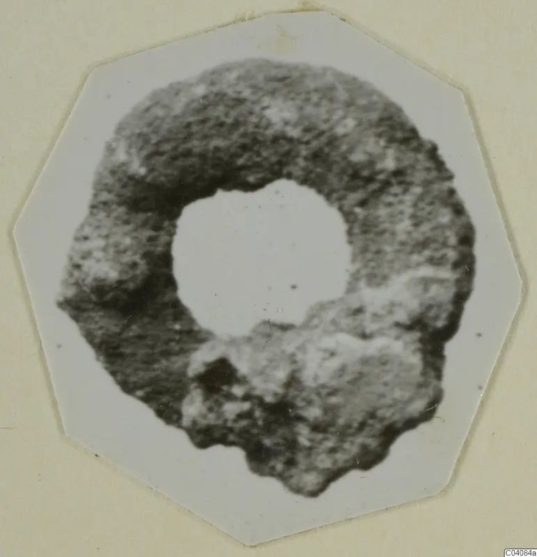 Ring from Marion: a rough, ring-shaped object with a large central hole, shown in a photograph.
