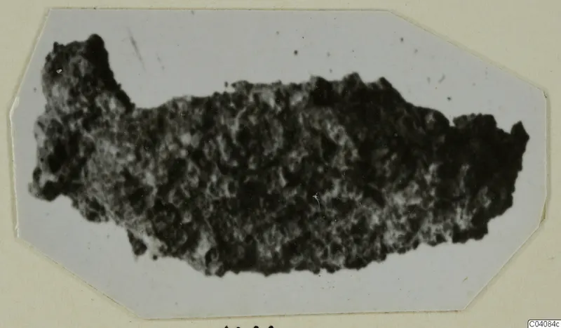 Fragment of an object from Marion, dark and rough-surfaced, shown on a pale card mount