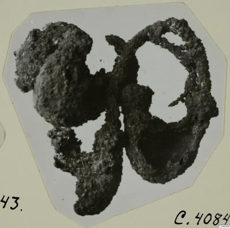 Corroded, encrusted fragments of objects from Marion, shown on a mounted photograph card